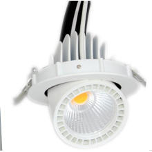 10W 15W Small LED Trunk Ceiling Light